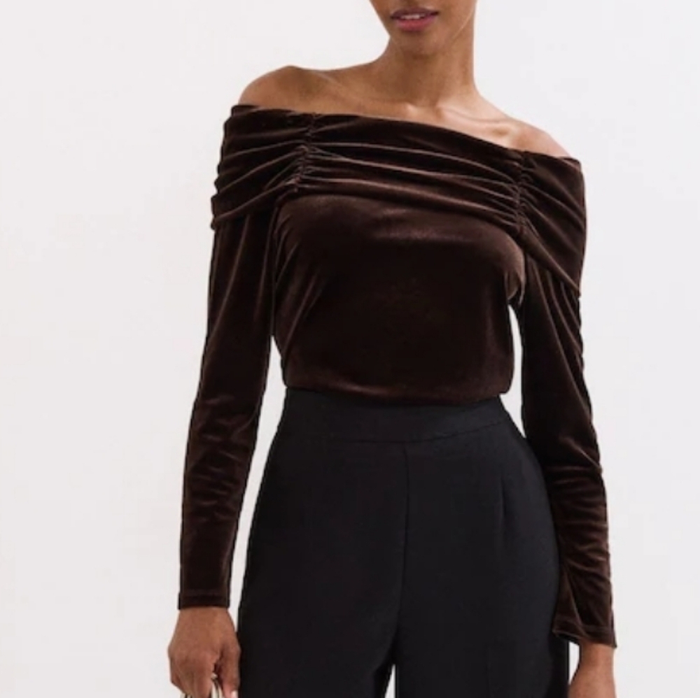 MSK Brown Velvet Top